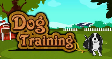 Dog Training - Treinando cachorros